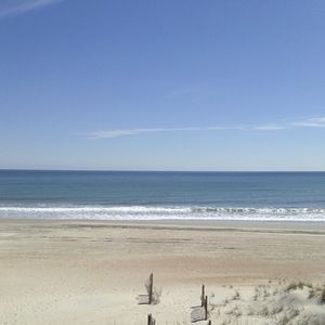 Meet your Posher, Berrin